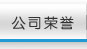 公司荣誉